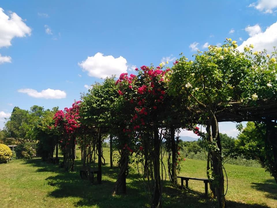 Locanda Rosati 오르비에토 외부 사진